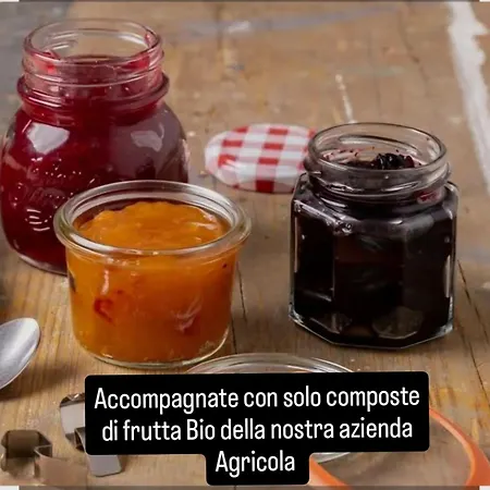 Vivamari Miniappartamento